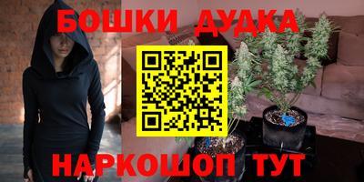 дмт Обь